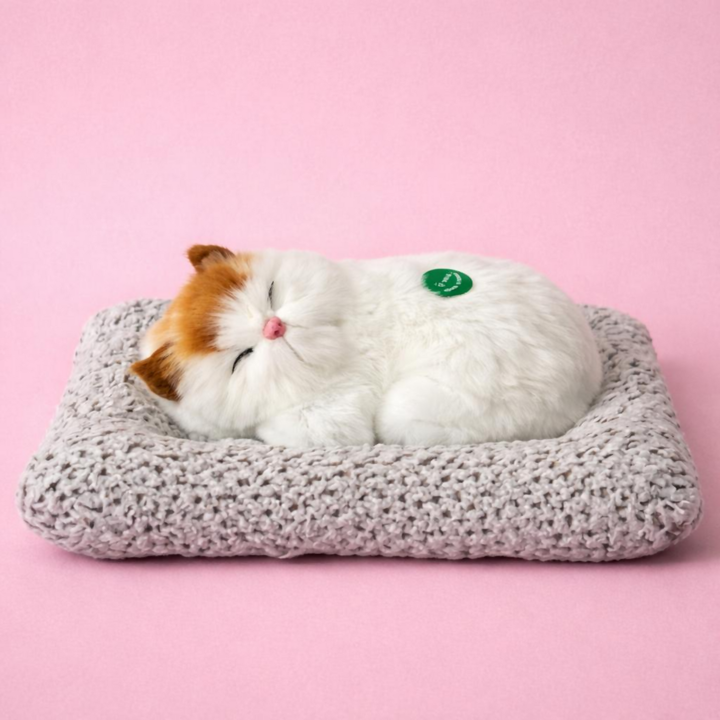 Sleeping Cat Soft Toy Dashboard Decor with Cushion, Cute Plush Showpiece