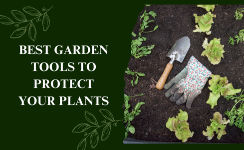 Best Garden Tools to Protect Your Plants from Summer Heat Efficiently
