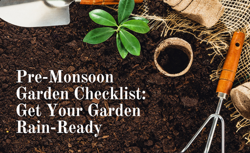 Pre-Monsoon Garden Checklist: Get Your Garden Rain-Ready