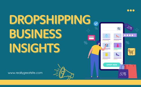 Dropshipping Business Insights: How to Build a Profitable E-commerce Store in 2025