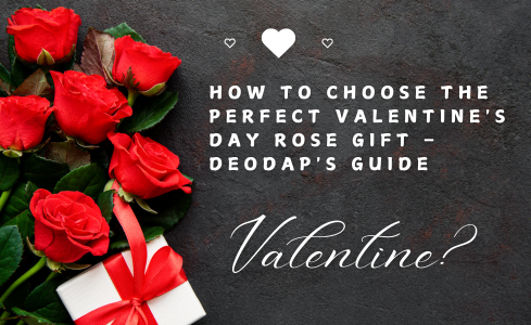 Valentine's Day Rose Gift