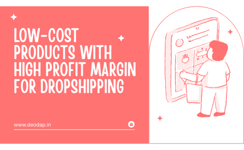Low-Cost Products with High Profit Margin for Dropshipping (Earn Big in 2026)