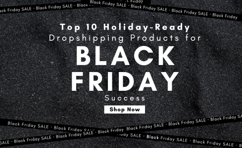Top 10 holiday ready dropshipping products for black Friday sale