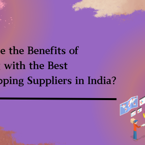 WHAT ARE THE BENEFITS OF WORKING WITH THE BEST DROPSHIPPING SUPPLIERS IN INDIA?