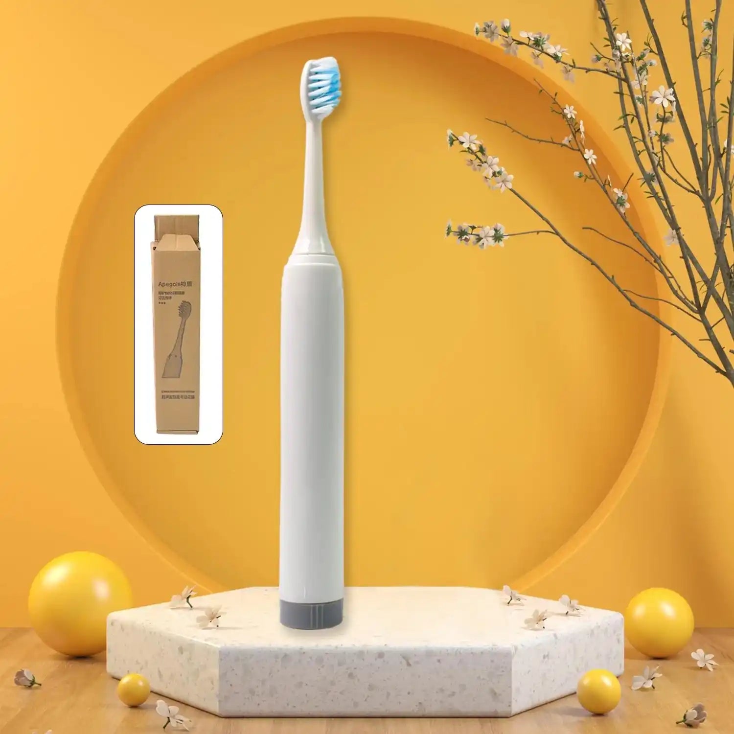Toothbrushes & Accessories
