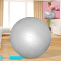 75CM Stability Gym Ball – Heavy Duty Non-Slip Fitness Ball