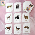 Animal Flash Cards – 32 Durable & Laminated Educational Cards