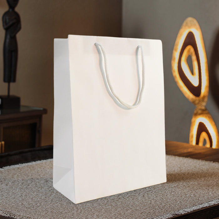 White Elegance Paper Bag(9.5x12x3 Inch)