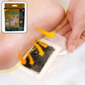 Detox Foot Pads with Ginger & Salt – 10 Pcs | Velvet Wellness