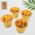Valencia Plastic Flower Pot Set – Durable Indoor Outdoor Planters