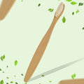 Bamboo Toothbrush – Ultra Soft Bristles for Gentle Care | MintGuard
