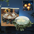 Floating Candle Holder – Romantic Table Decor | Styleva