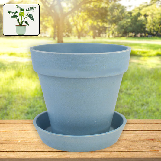 Heavy Plastic Flower pots With Tray (1 Pc)