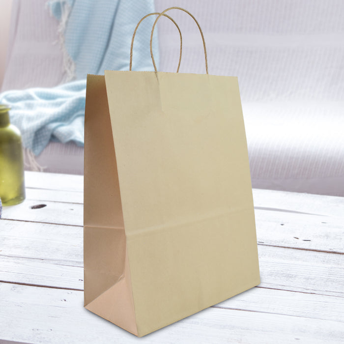 Brown Eco Paper Bag(10x13x5 Inch)