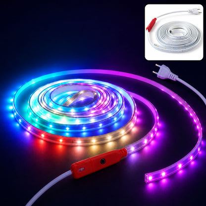 LED Rope Light 10 Metre with Plug and Switch Multicolour Strip (1 Pc)
