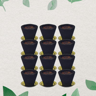 Complete set of Gugal Sambrani Havan cups with a complimentary burning holder.