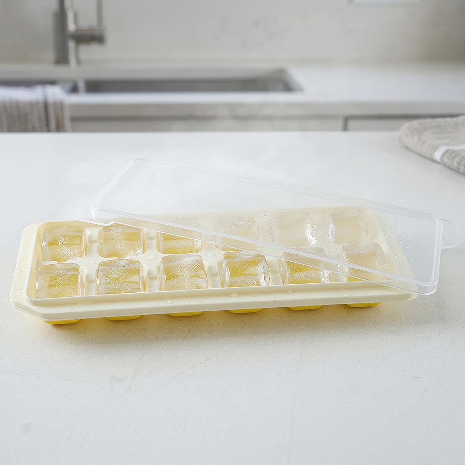 ice tray with lid