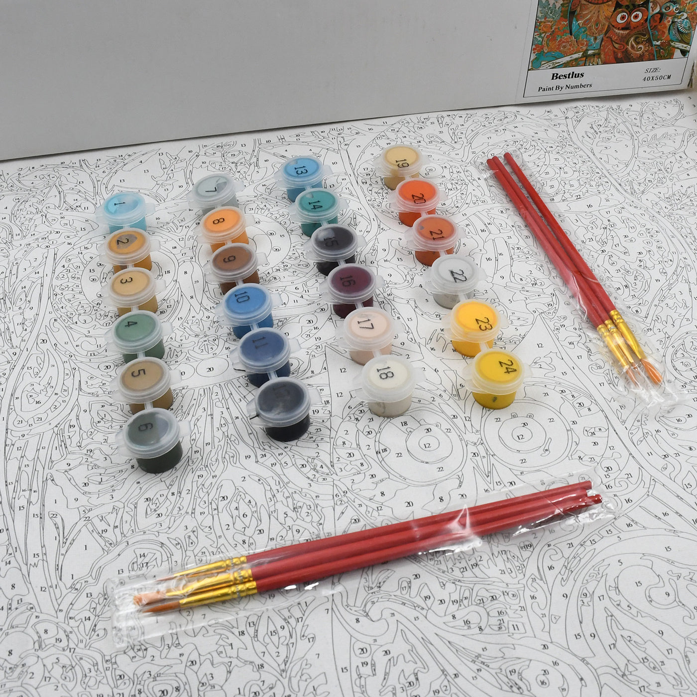 Paint by Numbers for Adults Beginner Adults' PaintbyNumber Kits on