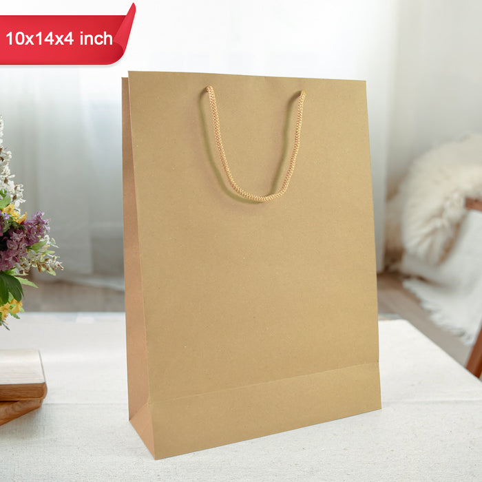 Compostable Plain Brown Paper Bag (10x14x4 Inch)