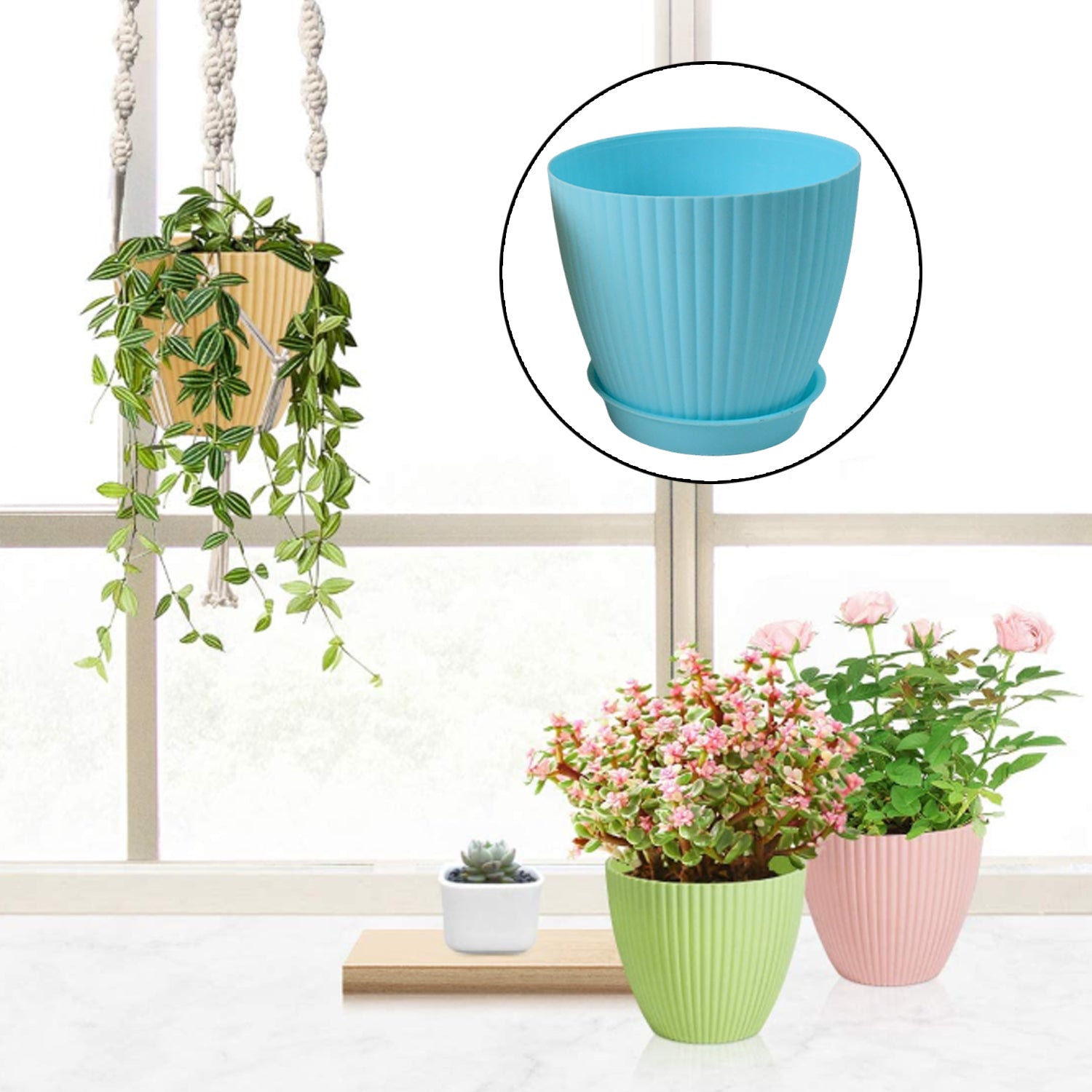 Round Plastic Flower Pot with Bottom Tray (5 Pcs Set / With Color Box)