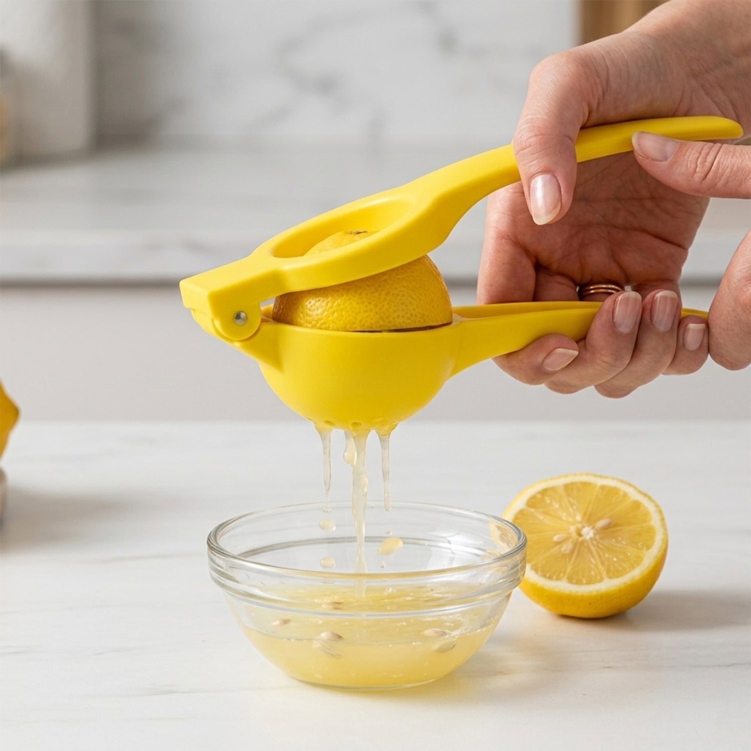 Fruit Squeezer
