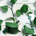 Plant Climbing Clips – Self-Adhesive Leaf Design | Indo Glow