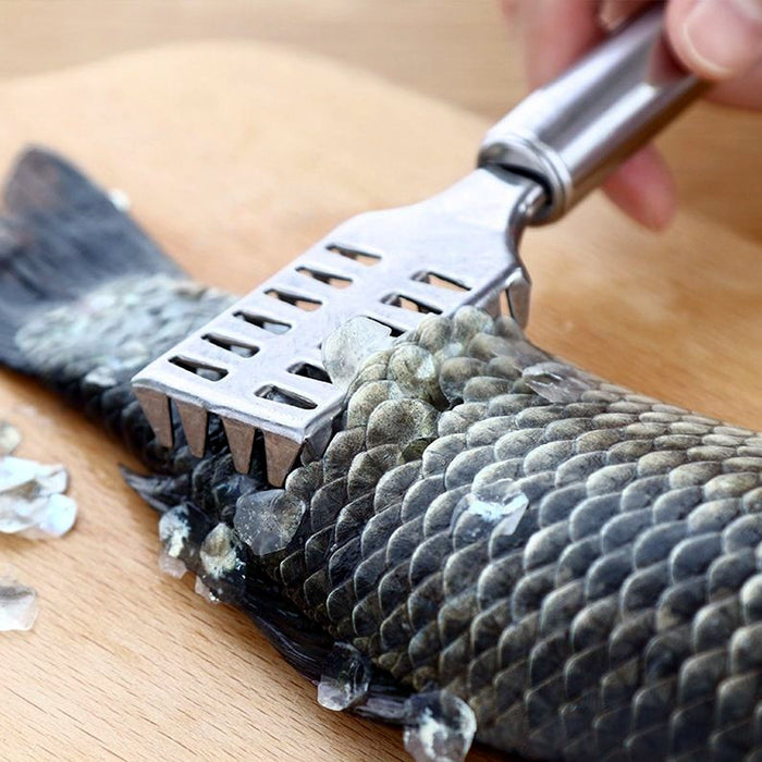 Buy Stainless Steel Fish Scale Remover Scraper | DeoDap