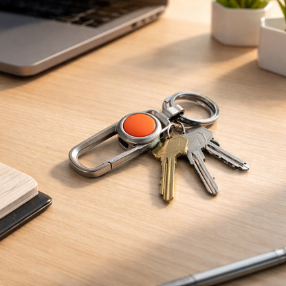 Metal Carabiner Keychain