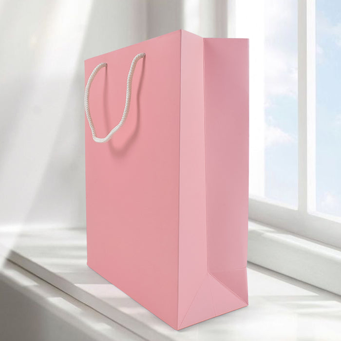 Plain Pink Paper Wedding Gift Bag (10x12x4 inch)