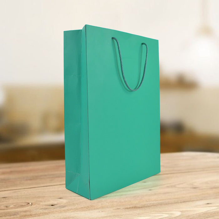 Green Paper Gift Bags (10x14x3.5 Inch)