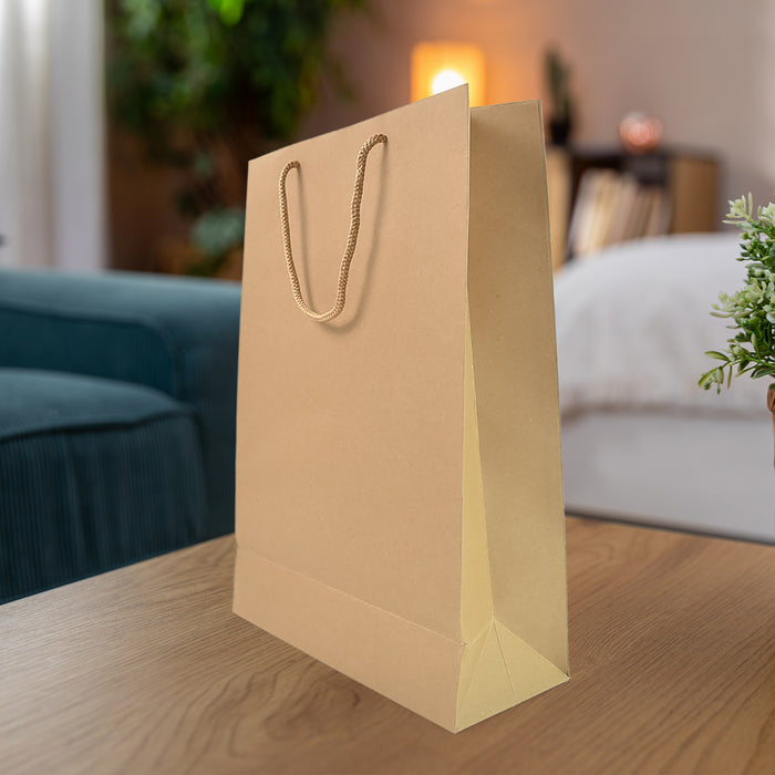 Compostable Plain Brown Paper Bag (10x14x4 Inch)