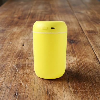 Small Air Humidifier for Personal Use