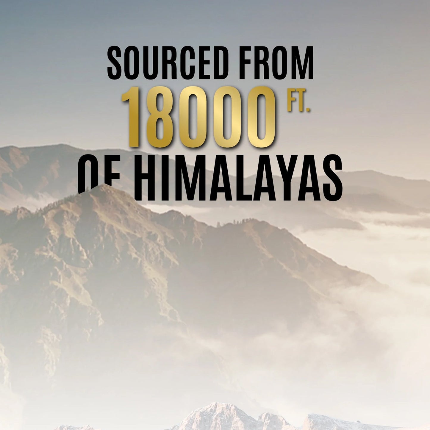 OG Wellness Natural Power Shilajit