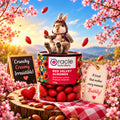 Red Velvet Almond Dragees Premium Almonds in Creamy Red Velvet Coating Treat (120g)