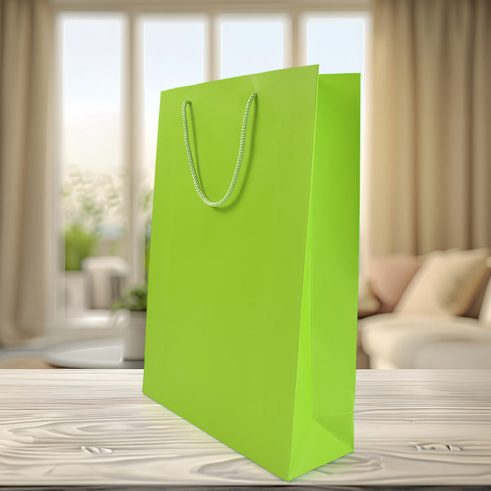 Parrot Green Paper Shopping Bag (10x14x5 inch)