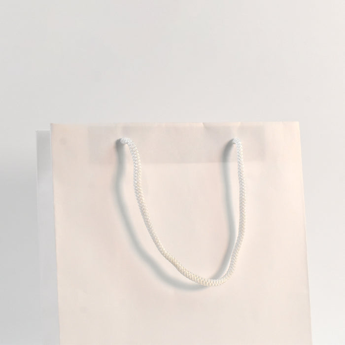 White Elegance Paper Bag(9.5x12x3 Inch)