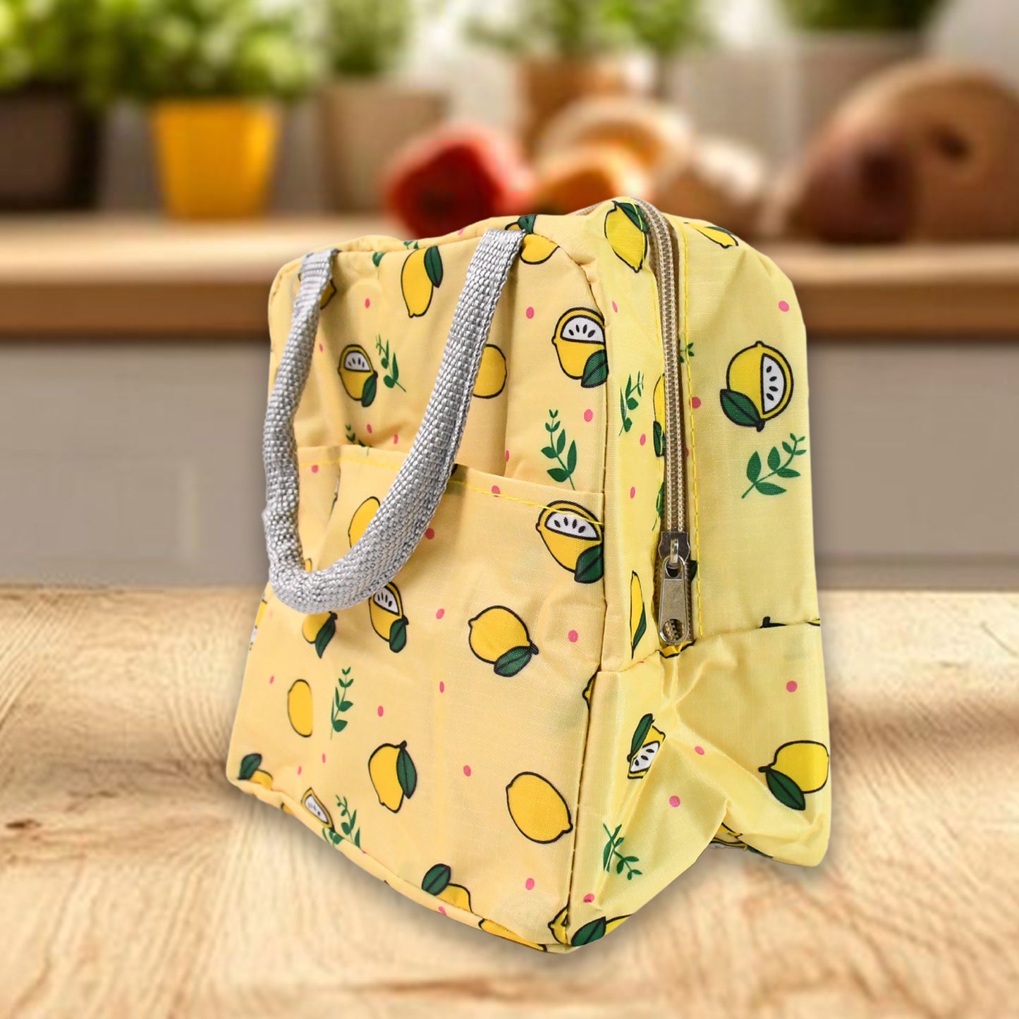 Insulated Travel Lunch / Tiffin / Storage Bag (1 Pc)