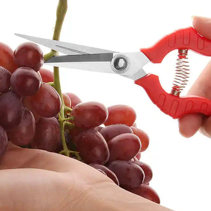 Heavy Duty Stainless Steel Cutter, Non‑slip Trimming Scissors Durable Not Easy To Wear for Gardening Pruning Of Fruit Trees Flowers and Plants (With Plastic Packing)