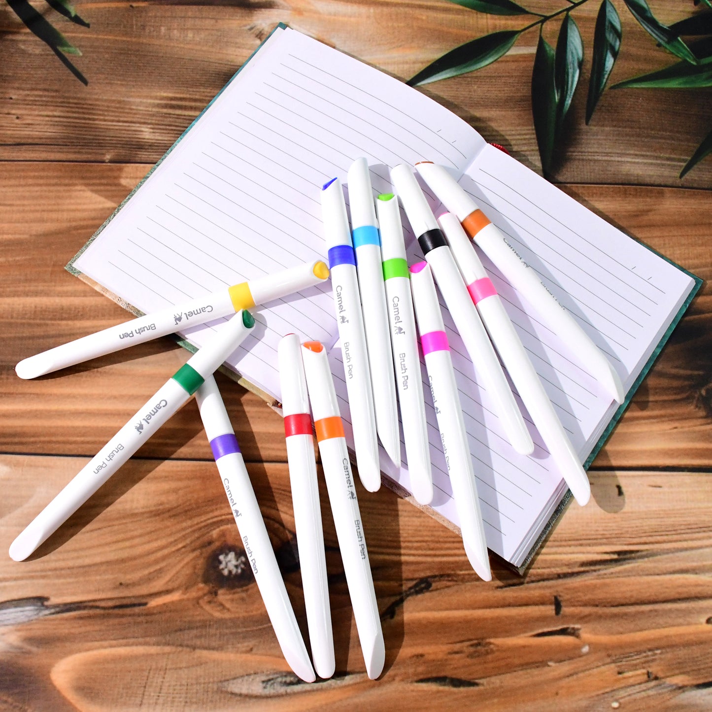 Camel Brush Pens – 12 Vibrant Shades (Flexible Tip for Watercolor Effects, Lettering & Sketching)