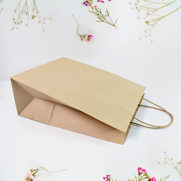 Brown Eco Paper Bag(10x13x5 Inch)