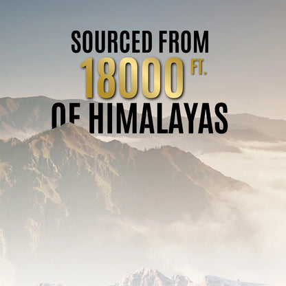 OG Wellness Pure Himalayan Shilajit Resin (20 GM / 1 Pc)