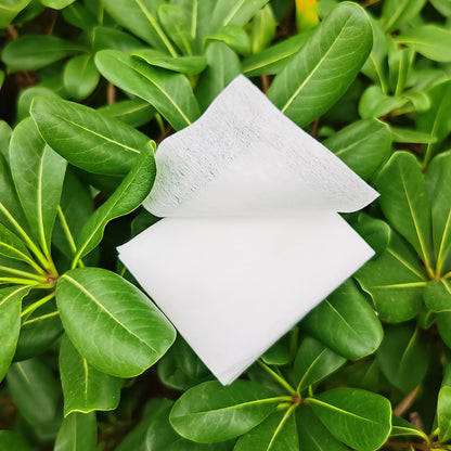 महिलाओं लड़कियों के लिए कॉटन मेकअप रिमूवर पैड (40 का पैक)