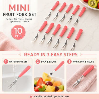 Stainless Steel Fruit Fork Set – 10 Durable Mini Forks with Soft Grip