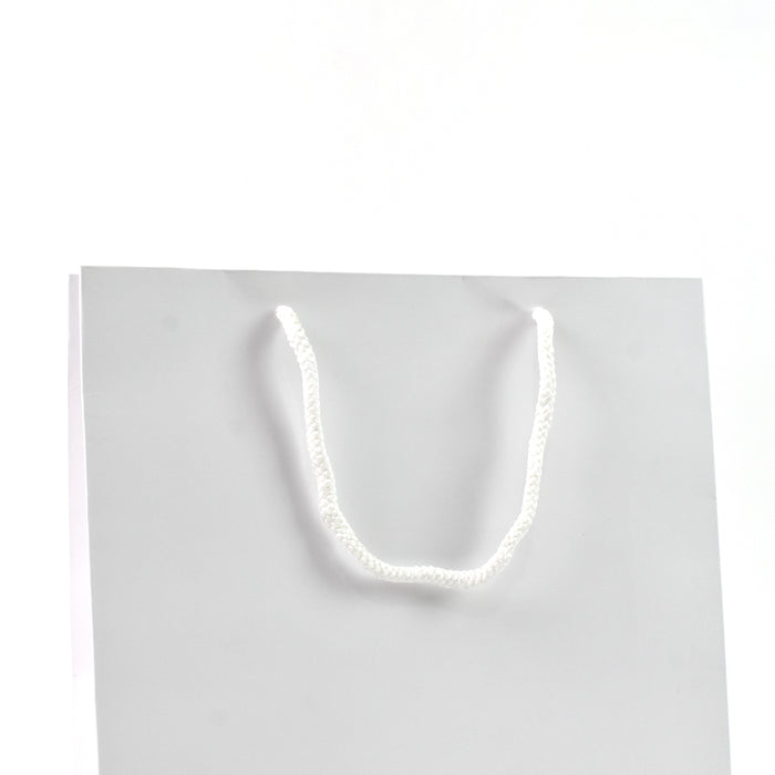 WHITE COLOUR PAPER BAG (8x10x4 Inch)