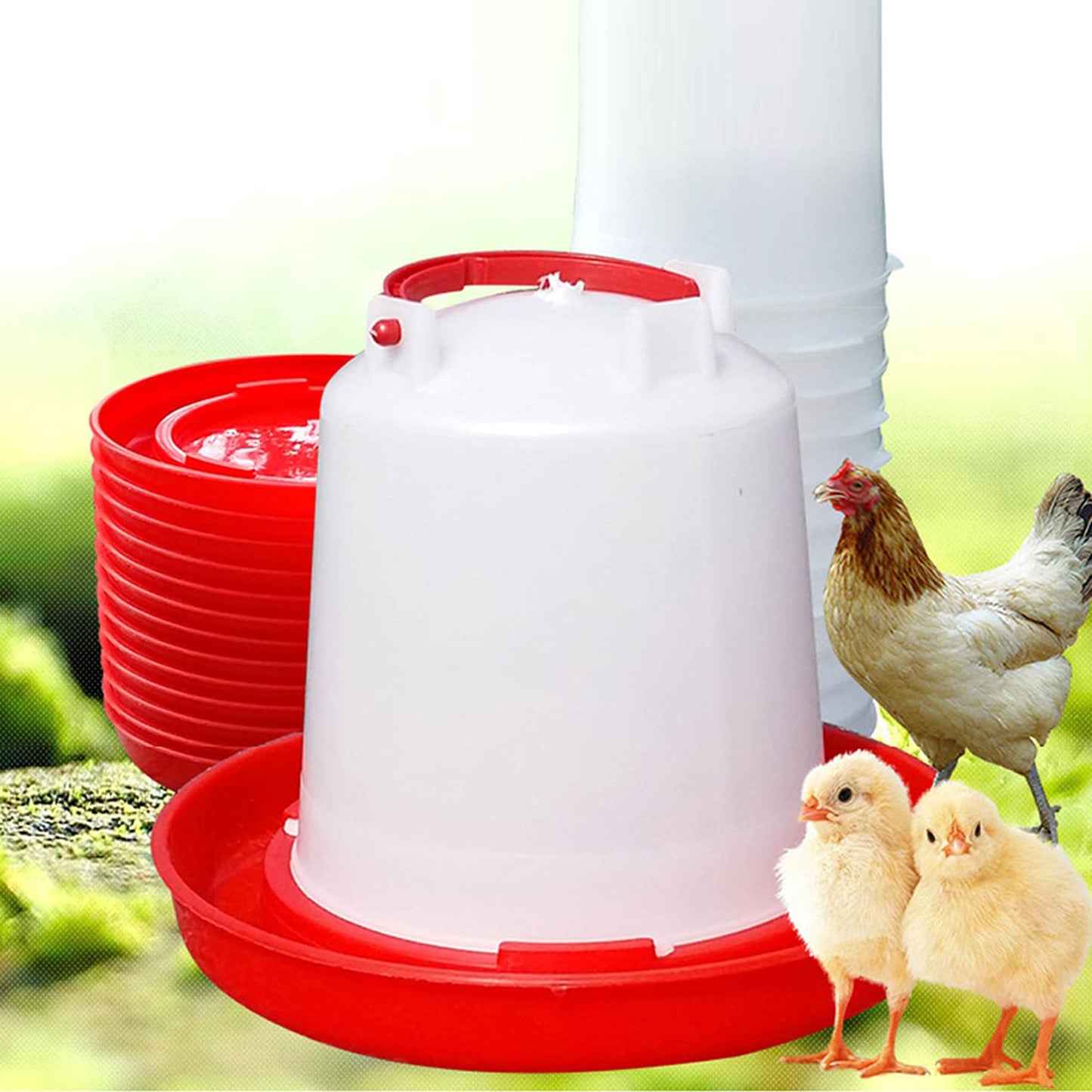 Chick Hydro Feeder