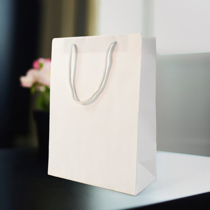 White Elegance Paper Bag(9.5x12x3 Inch)