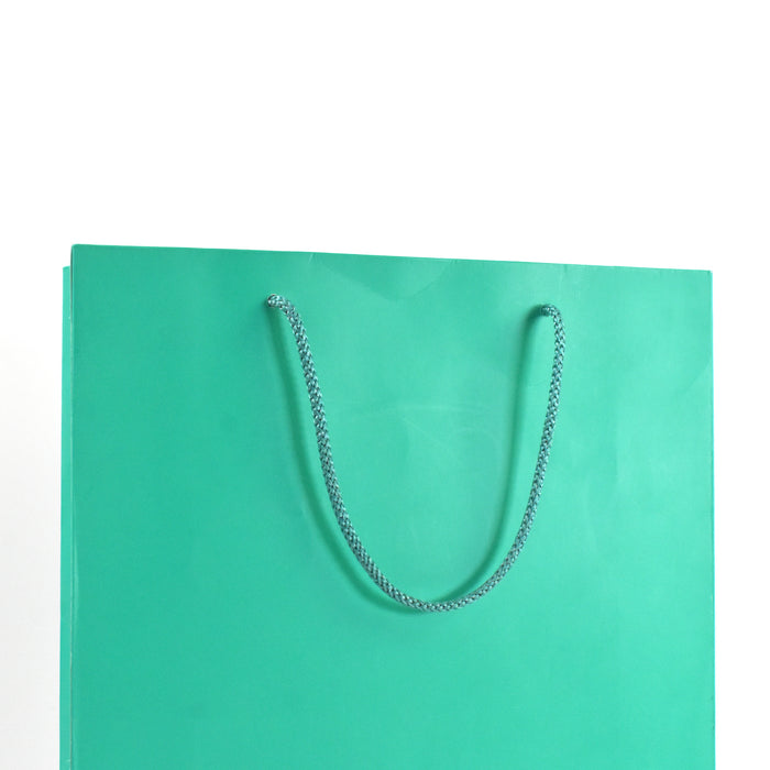 Green Paper Gift Bags (10x14x3.5 Inch)