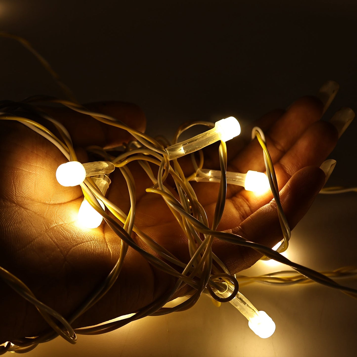 LED Decorative String Fairy Lights (10 Meter)