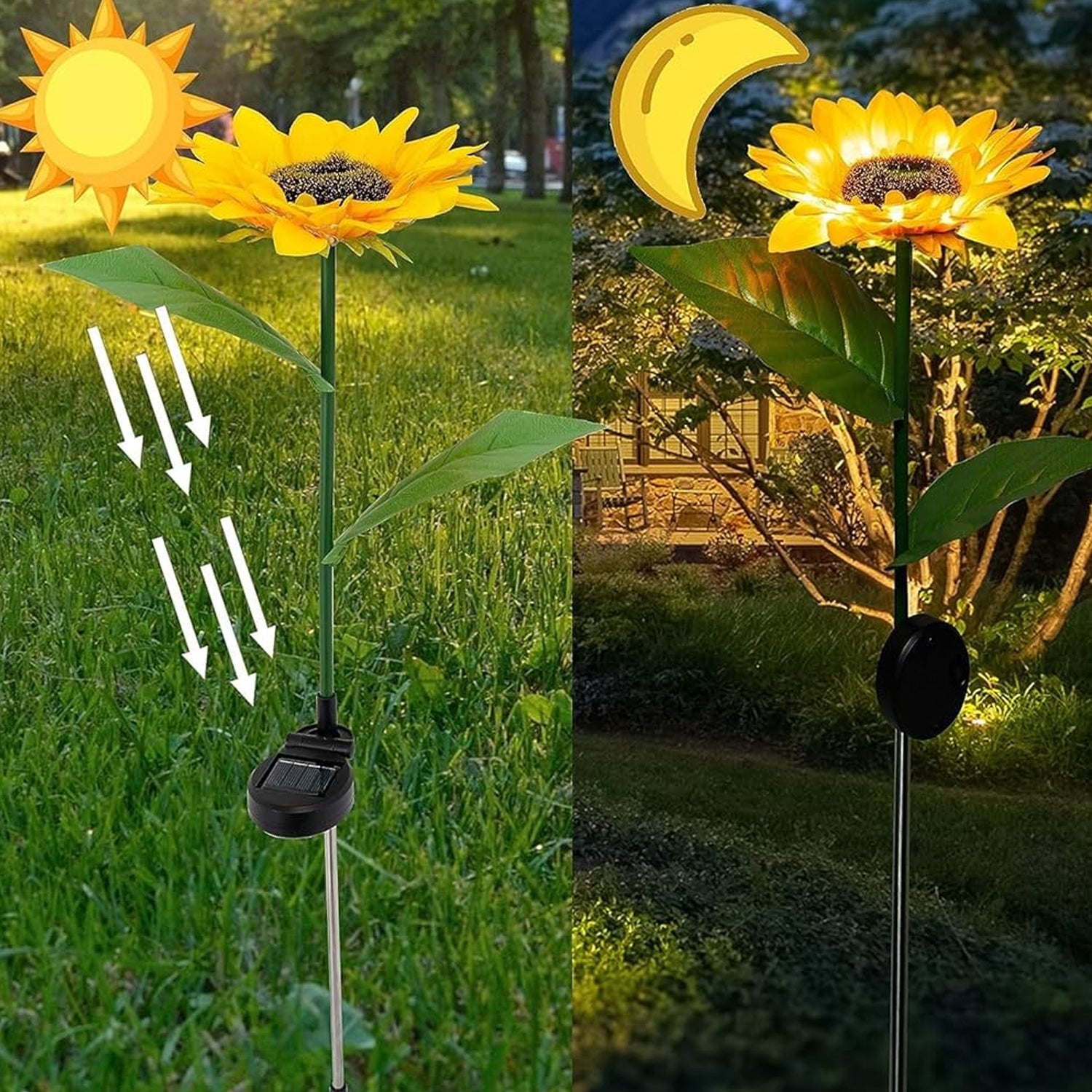 Solar Bloom Sunflower