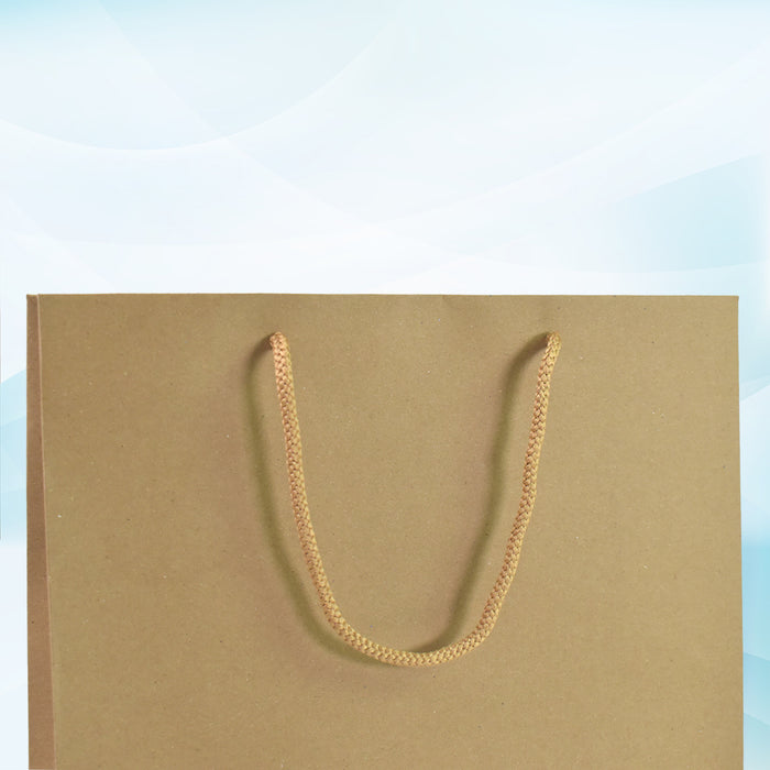 Compostable Plain Brown Paper Bag (10x14x4 Inch)